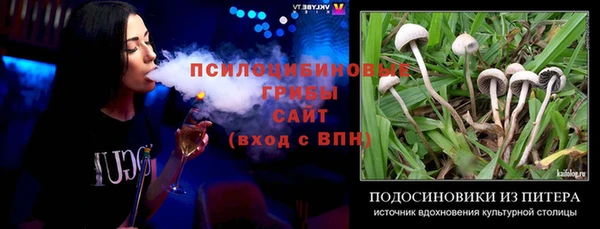 сатива Бородино