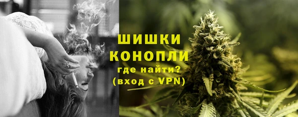 сатива Бородино