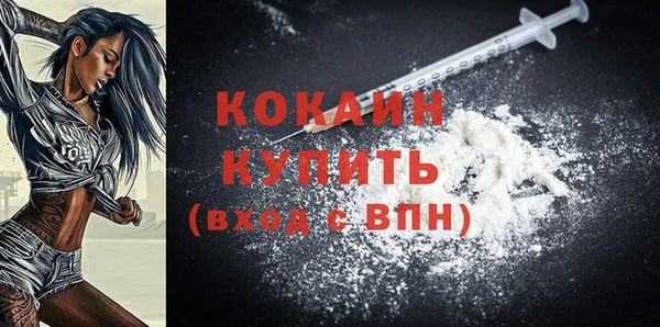 сатива Бородино