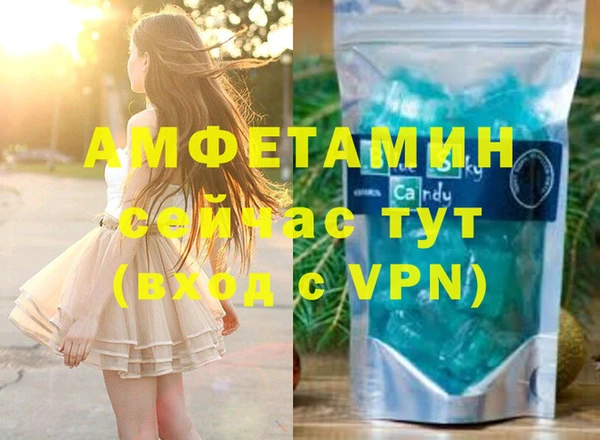 сатива Бородино