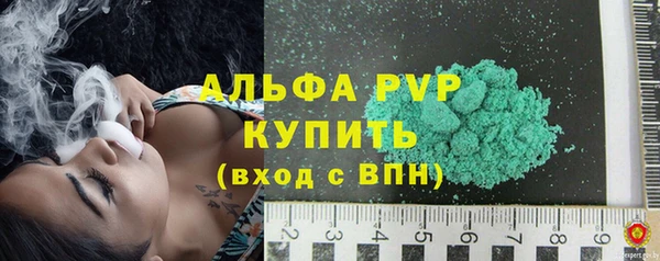 сатива Бородино